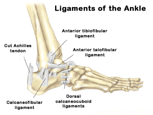 Foot & Ankle Institute of Ohio